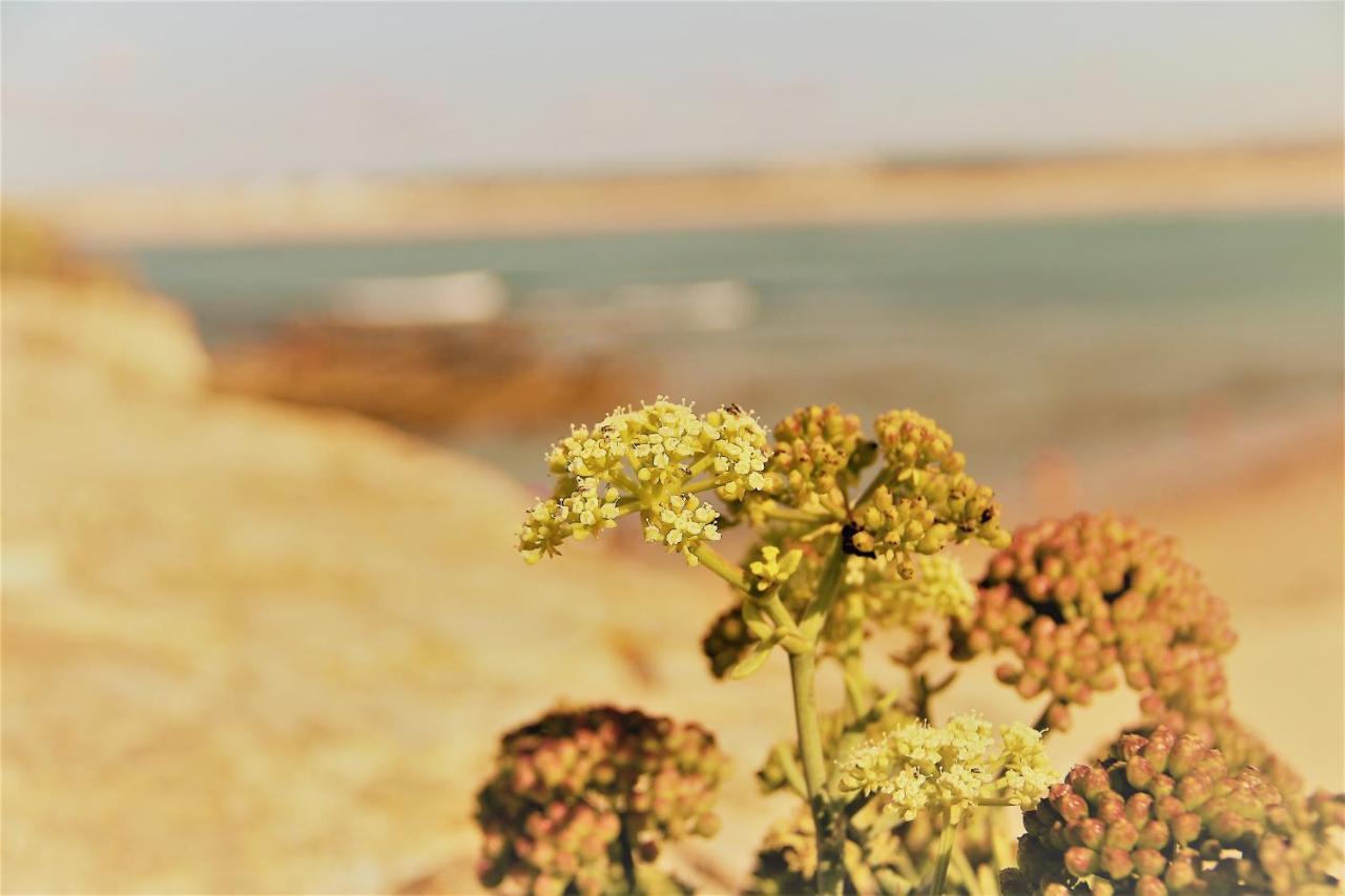 Casa Das Rendas By Cosycasa Praia بينيش المظهر الخارجي الصورة